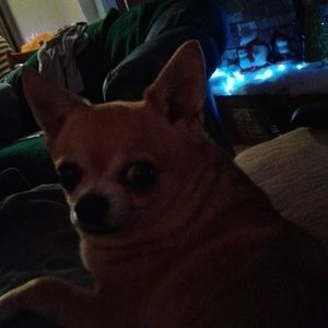 Meet your Posher, Paul